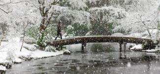 bridge in the winter